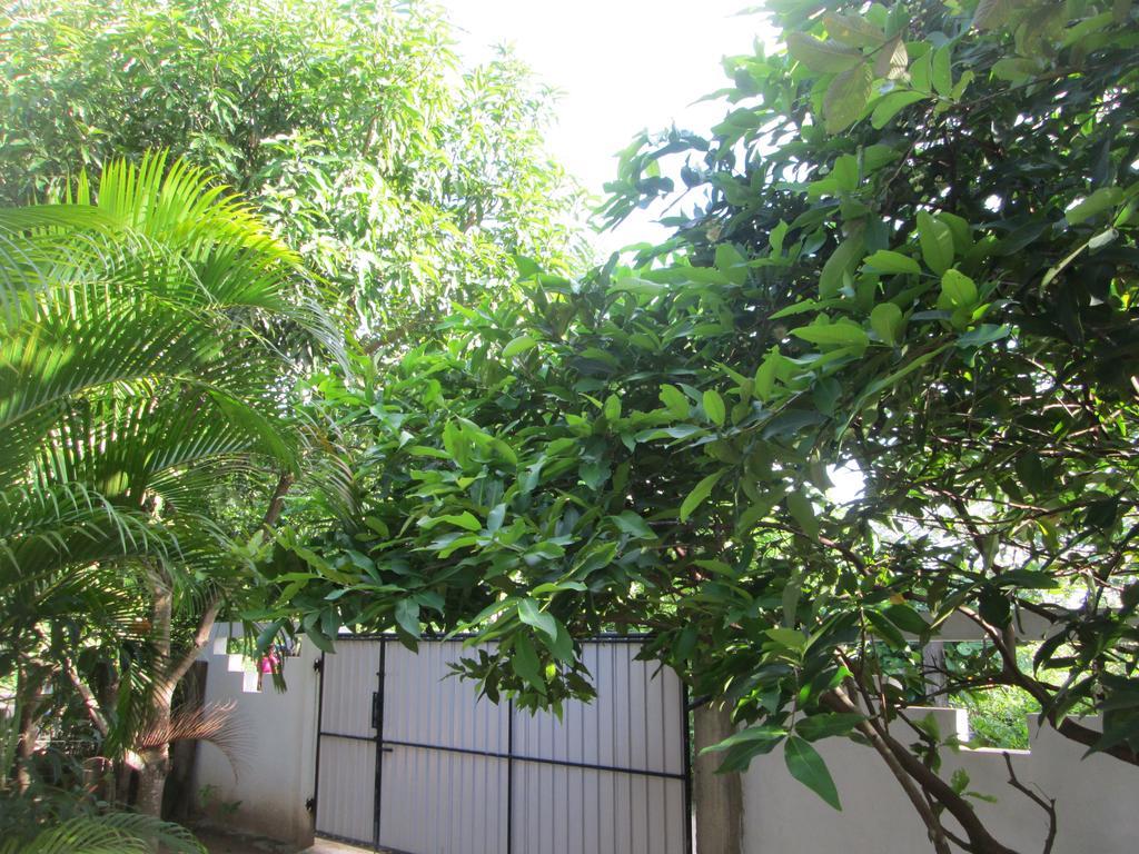 Bay Reach Home Stay Weligama Exterior foto