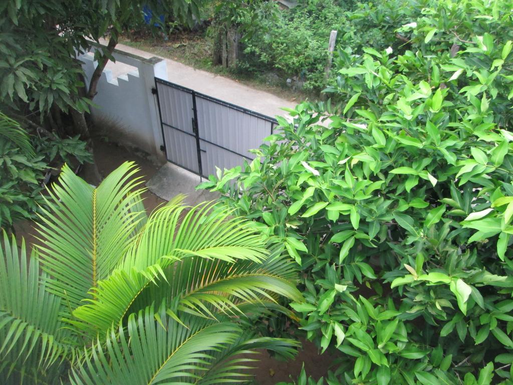 Bay Reach Home Stay Weligama Exterior foto
